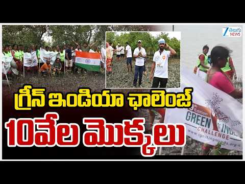 Green India Challenge Celebrates International Mangrove day with 10000 Plantings  in Sundarbans |zee - ZEE24TELUGUNEWS