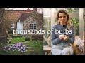 Adding 1000s of bulbs to my cottage garden  bulb unboxing  spring flower plans
