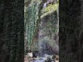 Капнистави в январе😍 Деревня семи водопадов, Грузия