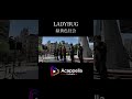 【LADYBUG / 緑黄色社会】As(アカペラ)#shorts