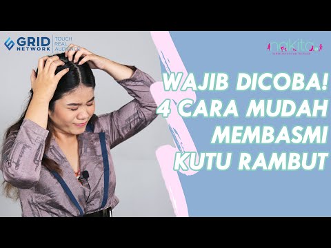 Video: Cara Menghilangkan kutu sekali dan untuk semua