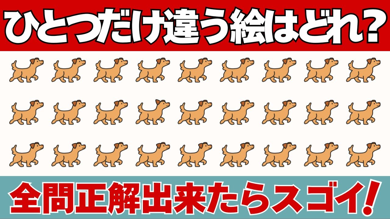 【脳トレ】高齢者向け・優しい間違い探し・動物のイラストで楽しく集中力アップ＆認知症予防！