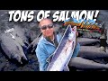 Best Shore Fishing in ALASKA!!! [Surprise Ending]