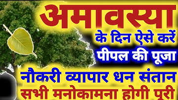 अमावस्या के दिन पीपल की पूजा कैसे करें | अमावस्या के उपाय |पीपल की पूजा कैसे करें | Peepal ke upay