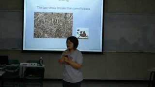 20100610-5 Sophia Chung.wmv