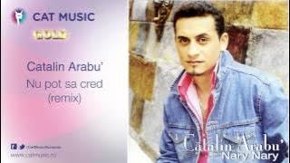 Catalin Arabu' - Nu pot sa cred (remix)