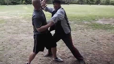 Fighting Arts - Yin Style Bagua -Entering Attacks