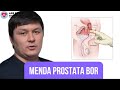 MENDA PROSTATA BOR 😧🫨 | @ars-dental