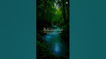 قل إن ربي يبسط الرزق آيات من الذكر الحكيم #القرآن_الكريم #دويتو #quran #اكسبلور