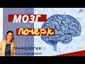 МОЗГ И ПОЧЕРК | Эксперт-графолог Ирина Бухарева