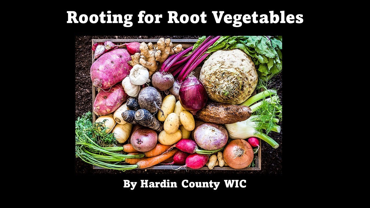 Digging Root Veggies - YouTube