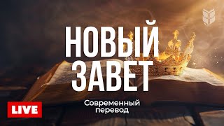 Новый Завет. Библия в современном переводе 🔴 BibleVision Прямой Эфир