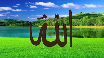 تلاوة مريحة جدا لنوم عميق هدوء و امان للقارئ ياسر سلامة