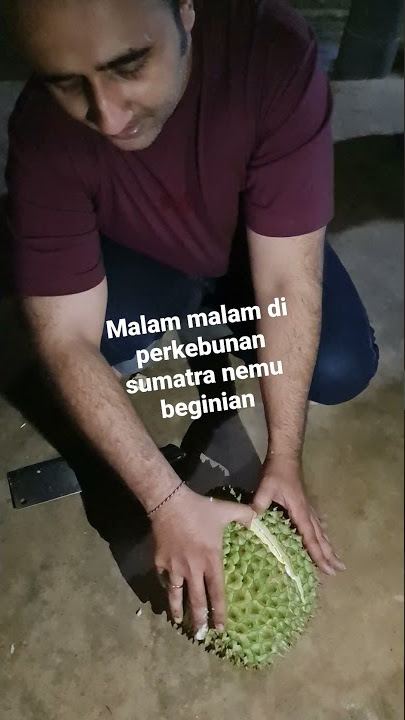 belah duren #indonesia #durian #fruit #kingofruit