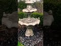 water fountain #shortsvideo #shortvideo #waterfountain