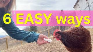 How to feed herbs to chickens (so they’ll actually eat them)