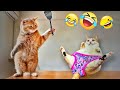 1時間の最も面白い動物たち 2025 🤣 最高に楽しい猫と犬 😻🐶