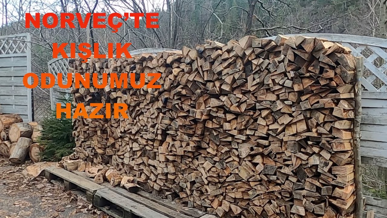 NORVEÇ’TE KIŞLIK ODUN NASIL HAZIRLANIR?