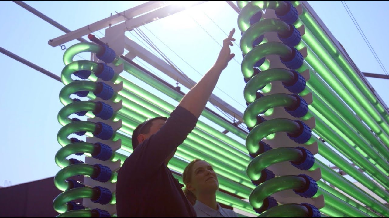 UTS and DGBH: Careers in Algae Biotechnology