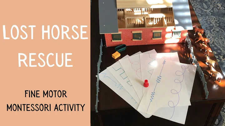 PRESCHOOL MONTESSORI ACTIVITY | Lost Horse Rescue ...