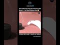 Boneless Soft Robot Walks Like Living Creature 😱🦿#shorts#innovation