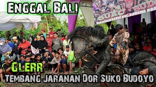 Lagu Enggal Bali versi jaranan Dor Suko Budoyo