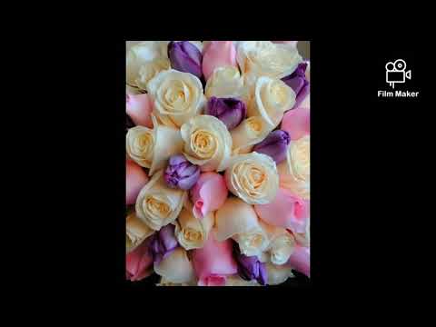 روائع محمد عبد الرحمان يا من هواه اعزه واذلني  