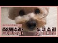 내가 필요해서 만든 강아지 초인종 훈련 15분 15 Minutes Of Dog Doorbell Training Knocking Sound Door Lock Sound 내가 필요해서 만든 강아지 초인종 훈련 15분 15 Minutes Of Dog Doorbell Training Knocking Sound Door Lock Sound