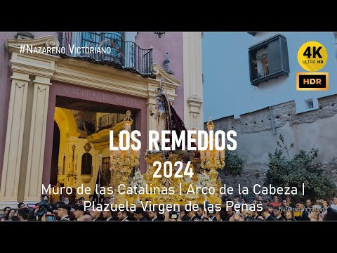 Venerable Hermandad de la Caridad en Cristo Nuestro Señor y Cofradía de Nazarenos del Santísimo Cristo de la Agonía, María Santísima de las Penas, Reina y Madre, y Santo Domingo de la Calzada
