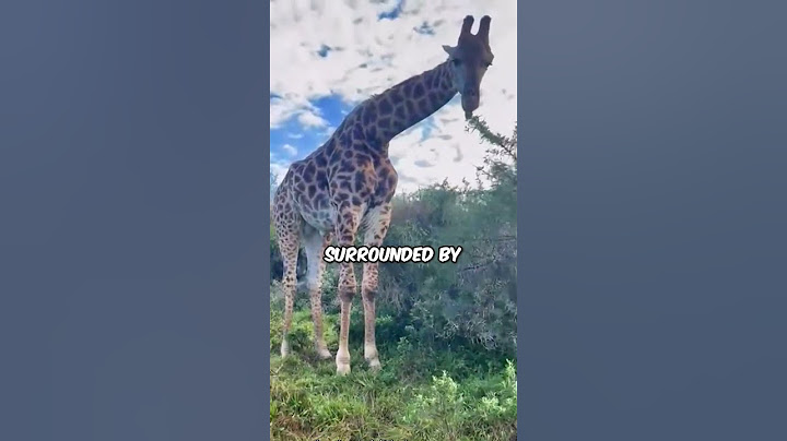 She has a zoo in her backyard 😯