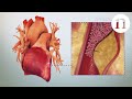 The evolution of oral anticoagulants