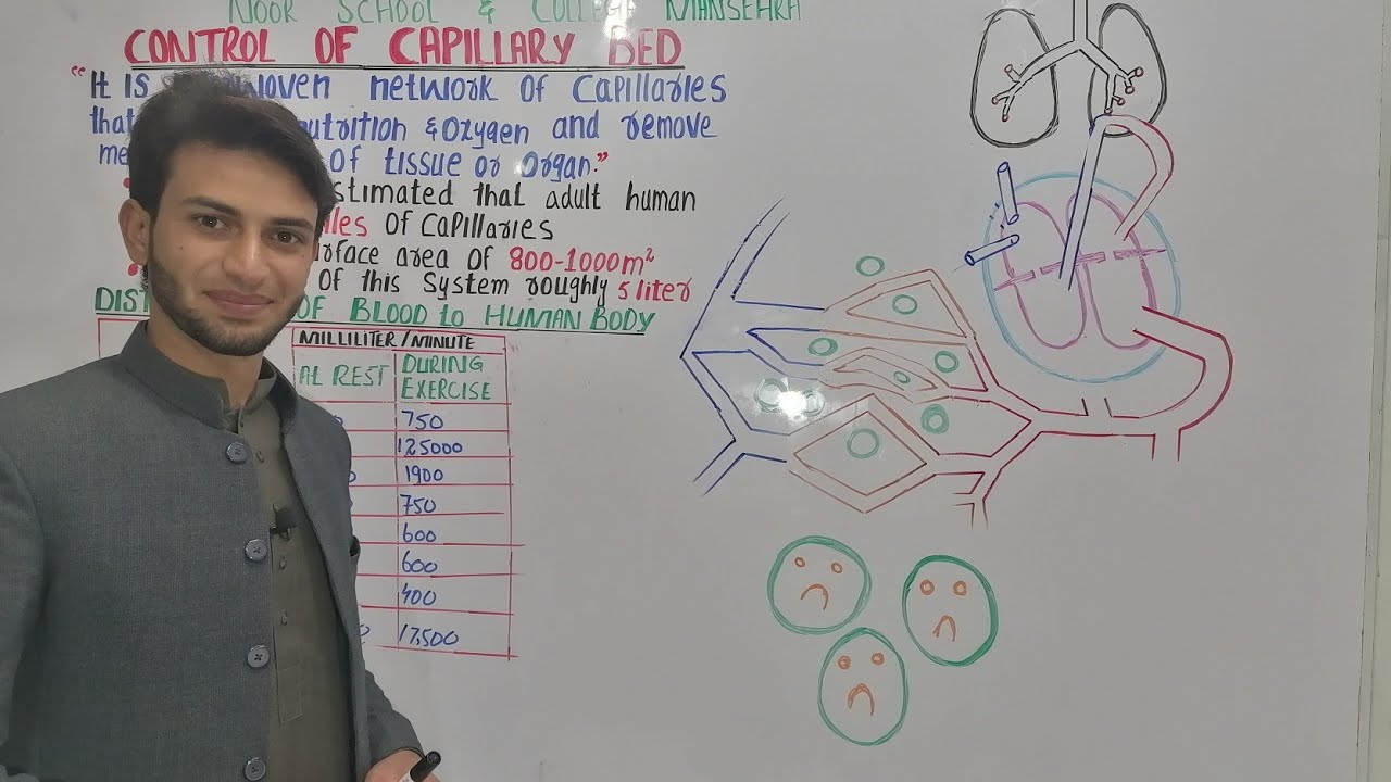 Control of capillary bed by Muneer Ahmad in urdu hindi NMDCAT NEET MCQs