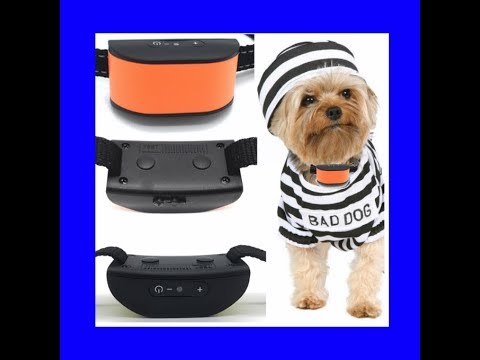 Anti Bark Collar Argos - YouTube