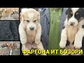 ФАРҒОНА ИТ БОЗОРИ | БЕШБОЛА