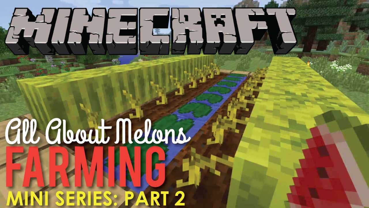 All About Growing Melons In Minecraft, Part 2 - Youtube