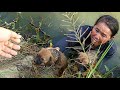 Rescue puppy fell into pond water