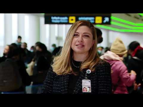 ვიდეო: რომელმა აეროპორტმა დაიწყო ჩაძირვა?