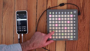 Making a beat with GridInstrument and Moog Model 15