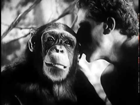 Tarzan's Revenge (1938) GLEN MORRIS🍕JUNGLE ADVENTURE