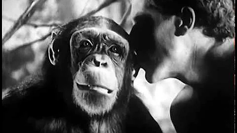 Tarzan's Revenge (1938) JUNGLE ADVENTURE