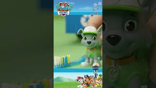 Learn All About Recycling With Rocky #Shorts #Pawpatrol