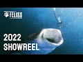 Felis films showreel  2022