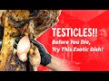 One Bite Before You Die: Testicles Like You've Never Imagined! IRAQ - Slemani