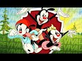 Why EVERYONE Is Excited For The Animaniacs Revival