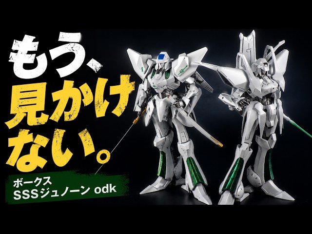 絶版・希少】古いガレキを並べて喜ぶ初老オタク｜SSSジュノーンodk