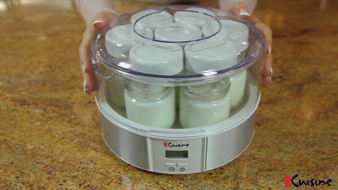 Electric Mini Food Steamer and Egg Cooker with Auto Shut Off Feature - Euro  Cuisine Inc