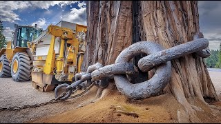 Unbelievable Heavy Equipment Machines: Latest Technology and Innovations in Construction and Farming by LALSHOW 4,352 views 3 weeks ago 15 minutes