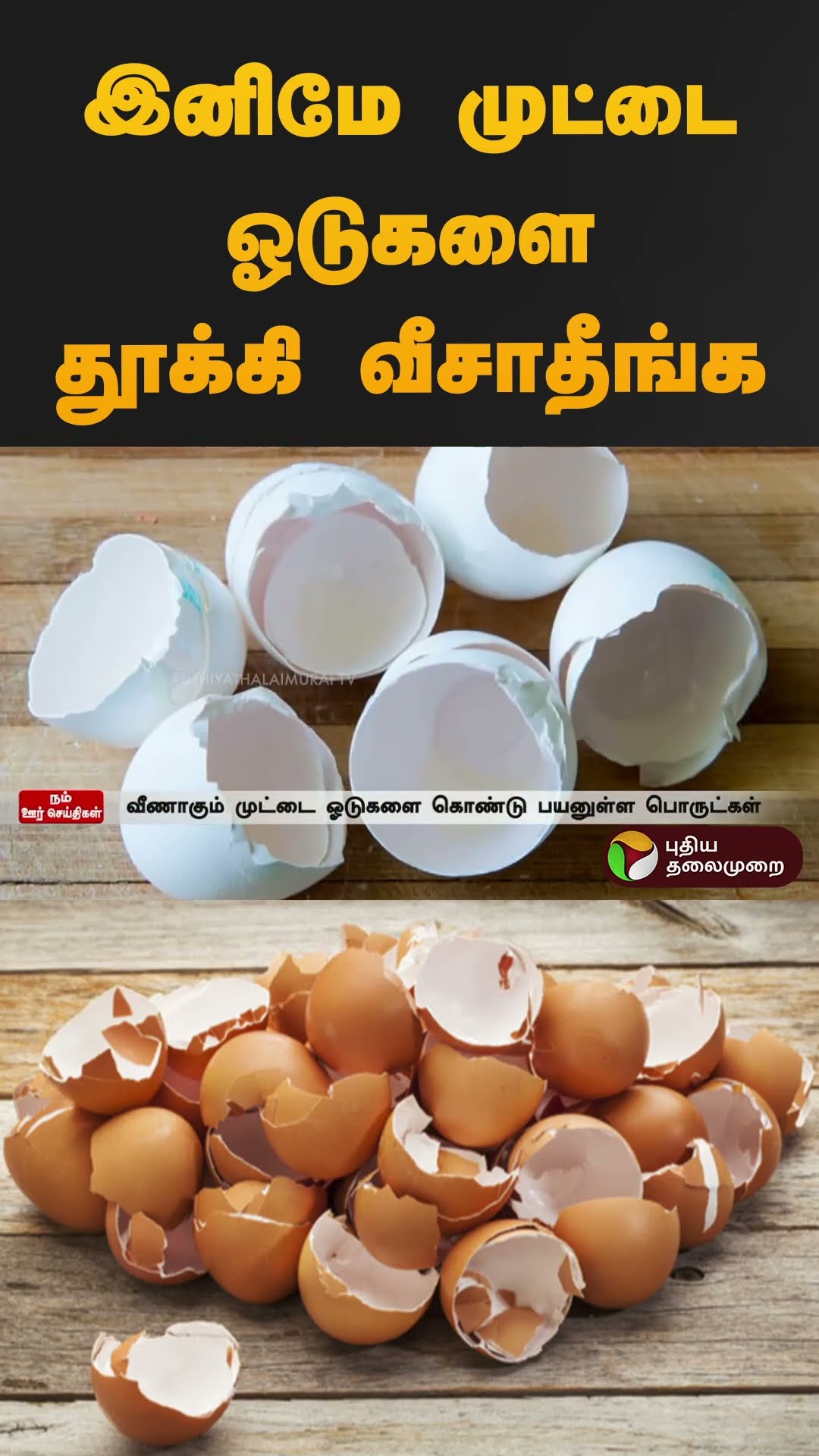 இனிமே முட்டை ஓடுகளை தூக்கி வீசாதீங்க | #eggs #eggshell | #shorts