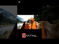 Ai Monkey 🐒 velloger #aianimation #funny #animationsoftware