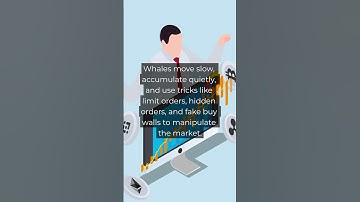 🐳Whale Tactics🐳 How the Big Players Control the Market